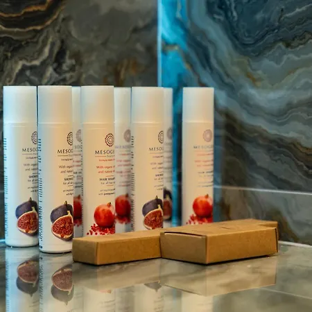 Hotell Philia Center 4*