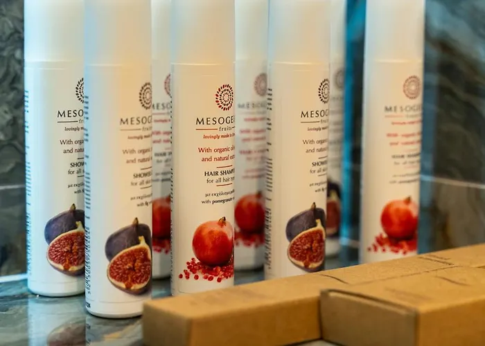 Hotel Philia Center 4*